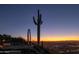 Night view of city lights with a large saguaro cactus at 13801 N Moon Dr, Phoenix, AZ 85023