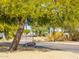 A tire swing hanging from a tree in the front yard at 27921 N 153Rd St, Scottsdale, AZ 85262