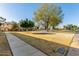 Community featuring a grassy lawn, mature trees, and sidewalks at 5005 S Mill Ave, Tempe, AZ 85282