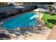 Inviting kidney-shaped pool with artificial turf and patio umbrellas at 741 W Harvest Rd, San Tan Valley, AZ 85140