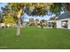 Expansive backyard with lush green grass, mature trees, pergola with outdoor seating, and storage shed at 3048 N 45Th St, Phoenix, AZ 85018