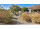 Backyard with mature landscaping for privacy at 5501 E Dallas St, Mesa, AZ 85205