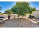 Backyard featuring a mature orange tree providing ample shade at 5501 E Dallas St, Mesa, AZ 85205