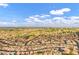 Aerial view of a large residential community at 6892 S Lake Forest Ct, Chandler, AZ 85249