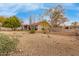 Spacious backyard with gravel landscaping, mature trees, and a patio at 16420 N Scorpion Dr, Fountain Hills, AZ 85268