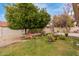 Backyard with lush grass and a fruit tree at 16420 N Scorpion Dr, Fountain Hills, AZ 85268