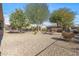 Landscaped backyard with gravel and mature trees at 20533 N Sequoia Crest Dr, Surprise, AZ 85387