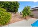 Landscaped backyard with brick pathway and fruit trees at 2238 S Estrella Cir, Mesa, AZ 85202