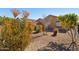 Landscaped front yard with drought-tolerant plants and gravel at 22402 W Harrison St, Buckeye, AZ 85326