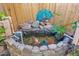 Close-up of the backyard koi pond featuring a colorful peacock statue and multiple fish at 2912 E Clarendon Ave, Phoenix, AZ 85016