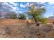 Backyard with a fire pit and two chairs at 4322 E Whitehall Dr, San Tan Valley, AZ 85140