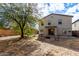 Large backyard with a patio and mature tree at 4322 E Whitehall Dr, San Tan Valley, AZ 85140