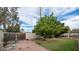 Large backyard with lemon tree and grassy area at 8514 E Fairmount Ave, Scottsdale, AZ 85251