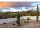 Landscaped backyard featuring desert plants, providing a tranquil outdoor retreat at 9546 E Anasazi Pl, Gold Canyon, AZ 85118