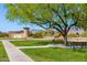 Community park with walking path, shade tree and view of the mountains at 9900 E Desert Trail Ln, Gold Canyon, AZ 85118