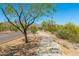 Concrete walking path next to sidewalk surrounded by desert landscaping at 9900 E Desert Trail Ln, Gold Canyon, AZ 85118