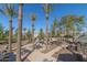 Community BBQ area with picnic tables and palm trees at 1094 S Agnes Ln, Gilbert, AZ 85296