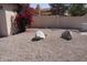 Backyard view showcasing desert landscaping with decorative boulders and blooming bougainvillea at 18429 N 16Th Way, Phoenix, AZ 85022