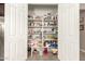 Well-organized pantry with ample shelving for storage at 19000 E Old Beau Trl, Queen Creek, AZ 85142