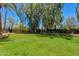 Lush backyard with a hammock and seating area, ideal for relaxation and outdoor enjoyment at 3601 N 55Th Pl, Phoenix, AZ 85018
