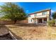 Large backyard with mature tree and patio at 41405 W Cielo Ln, Maricopa, AZ 85138