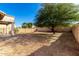 Backyard with mature tree and block wall at 41405 W Cielo Ln, Maricopa, AZ 85138