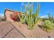 Landscaped backyard with cacti and desert plants at 42413 W Abbey Rd, Maricopa, AZ 85138