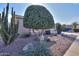 Landscaped front yard with desert plants and a circular bush at 42413 W Abbey Rd, Maricopa, AZ 85138