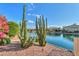 Waterfront property with a view of a tranquil lake at 42413 W Abbey Rd, Maricopa, AZ 85138