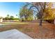 Spacious backyard with grassy area and a tree providing shade at 5439 E Bloomfield Rd, Scottsdale, AZ 85254