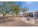 Expansive backyard featuring mature trees, gravel landscaping, and a charming stone patio at 11008 W Cherry Hills W Dr, Sun City, AZ 85351