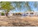 The home's backyard features gravel, mature trees, and a covered patio seating area at 11008 W Cherry Hills W Dr, Sun City, AZ 85351