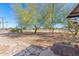 Serene backyard with gravel landscaping, mature trees, and fenced perimeter for privacy at 11008 W Cherry Hills W Dr, Sun City, AZ 85351