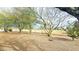 Landscaped backyard with gravel and mature trees, offering a view of a golf course at 11008 W Cherry Hills W Dr, Sun City, AZ 85351