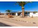 Front view of a ranch house with a palm tree and gravel driveway at 12406 W Allegro Dr, Sun City West, AZ 85375