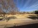 View of a park-like common area from the backyard at 1534 E Alba Dr, Casa Grande, AZ 85122