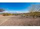 Landscaped front yard with mountain views and gravel pathway at 16548 E Emerald Dr, Fountain Hills, AZ 85268