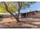 Large backyard with a mature tree providing shade and gravel ground cover at 2407 W Laurel Ln, Phoenix, AZ 85029