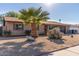 Brick house with a large palm tree and gravel yard at 2407 W Laurel Ln, Phoenix, AZ 85029