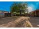 Spacious backyard with large tree and open area at 2817 W Marshall Ave, Phoenix, AZ 85017