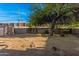 Backyard with shed, tree, and open space at 2817 W Marshall Ave, Phoenix, AZ 85017