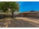 Backyard view of house, large tree and patio at 2817 W Marshall Ave, Phoenix, AZ 85017