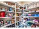 Well-organized pantry with ample shelving for storage at 28370 N 113Th Way, Scottsdale, AZ 85262