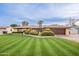 Single-story house with a large front yard, palm trees, and a brick driveway at 331 E Tuckey Ln, Phoenix, AZ 85012