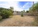 Large backyard with mature citrus trees and shed at 4305 E Earll Dr, Phoenix, AZ 85018