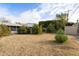 Large backyard with mature trees and grassy area at 4305 E Earll Dr, Phoenix, AZ 85018