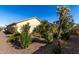 Landscaped backyard with desert plants and gravel at 5219 W Buckskin Dr, Eloy, AZ 85131