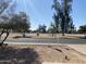 View of park-like front yard with street access at 702 W Grove Cir, Mesa, AZ 85210