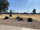 Open green space with trees and pathways at 702 W Grove Cir, Mesa, AZ 85210