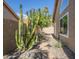 Charming backyard with stone pathway, xeriscaping, and a towering cactus at 9288 E Camino Del Santo --, Scottsdale, AZ 85260